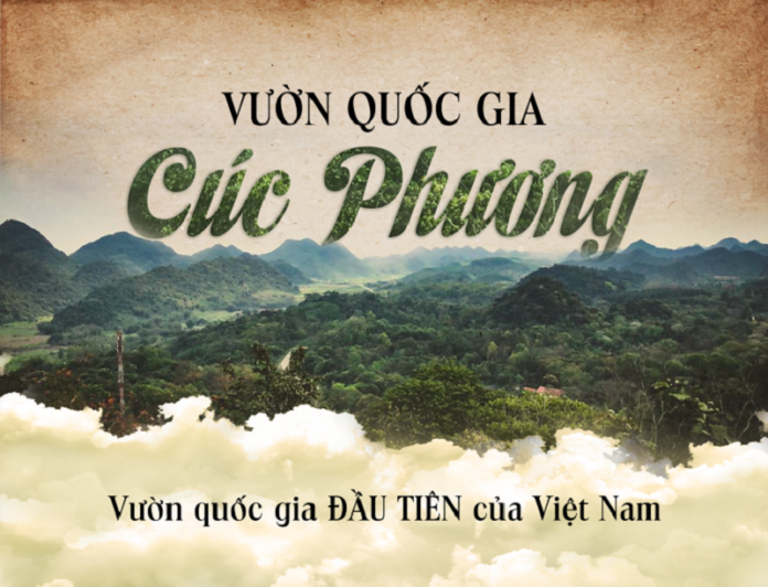 Cam-nang-du-lich-Vuon-Quoc-Gia-Cuc-Phuong-tu-tuc-tu-A-den-Z